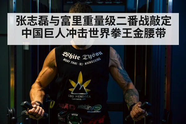 Tyson Fury heavyweight